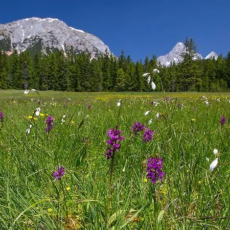 Gertraud Maison d'hôtes Filzmoos