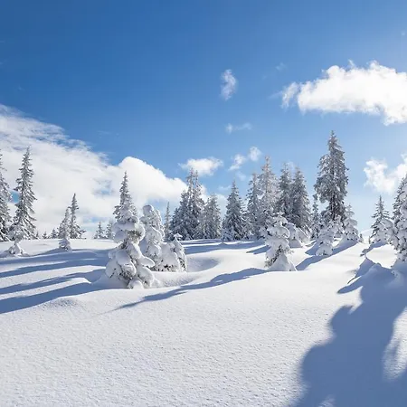 Gertraud 3* Filzmoos