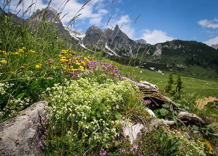 Gertraud Affittacamere 3*