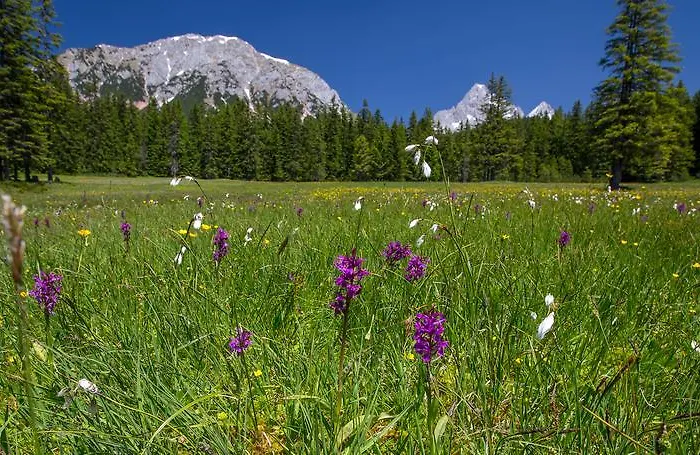 Gertraud Affittacamere Filzmoos